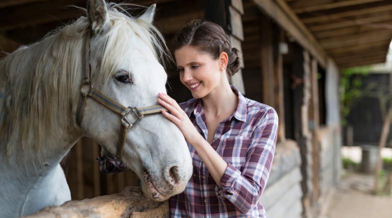 Die Pferdehaftpflicht schützt z. B. bei Schäden beim Reitunterricht