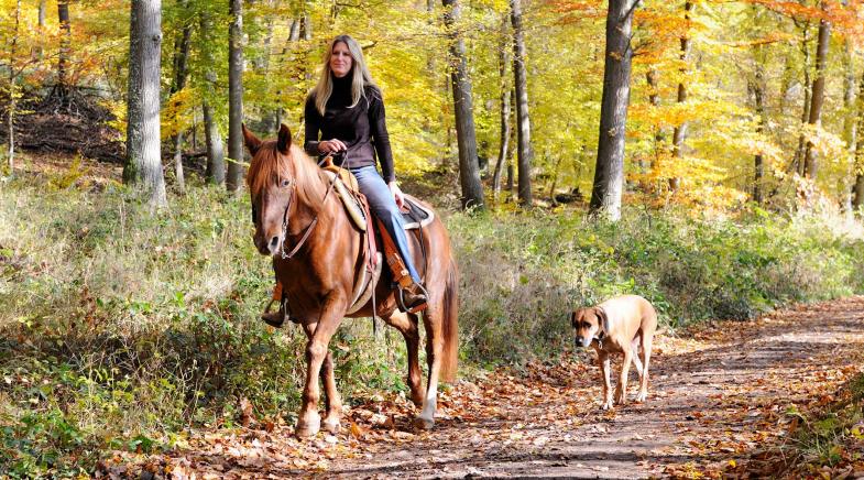 Frau mit Hund und Pferd im Wald