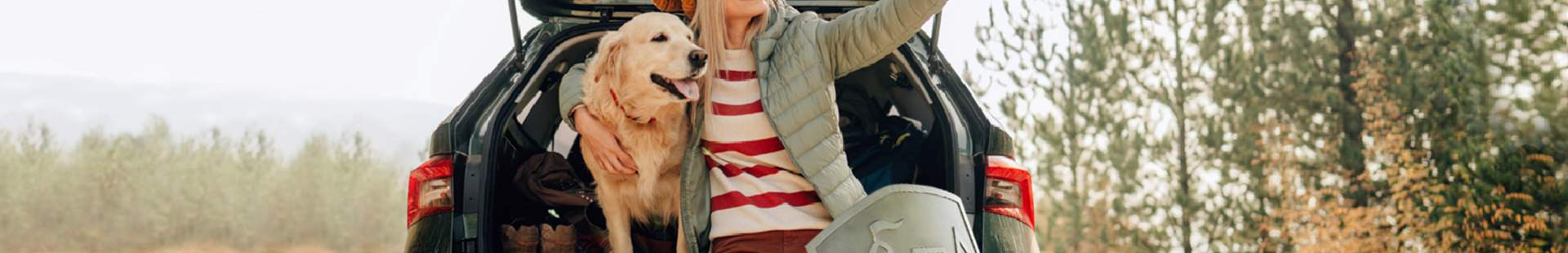 Frau mit Hund im Auto