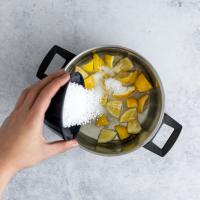 DIY – Schritt 4: klein geschnittene Zitrone in Topf geben mit Essig, Wasser und Salz