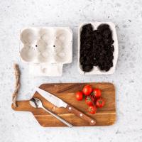 DIY – Materialien & Zutaten um Tomaten selber zu ziehen