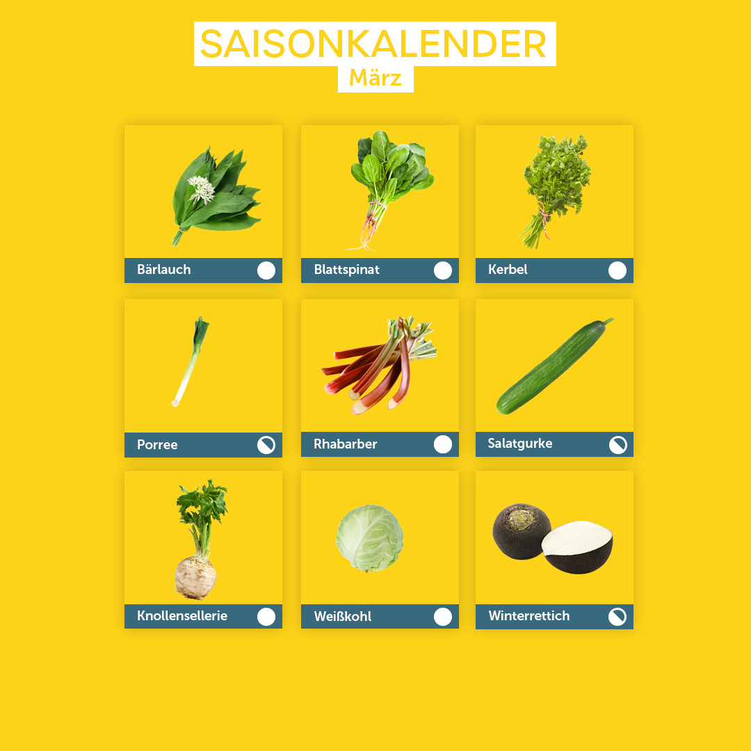 Saisonkalender März: Bärlauch, Blattspinat, Kerbel, Porree, Rhabarber, Salatgurke, Sellerie, Weißkohl, Winterrettich