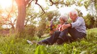 Älteres Paar sitzt auf einer Wiese in der Natur