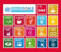 Nachhaltigkeitsziele SDGs (Sustainable Development Goals)