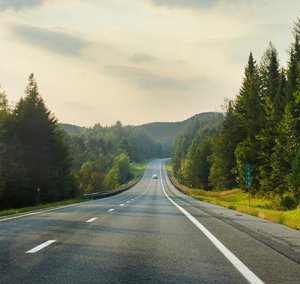 Straße, die durch den Wald führt